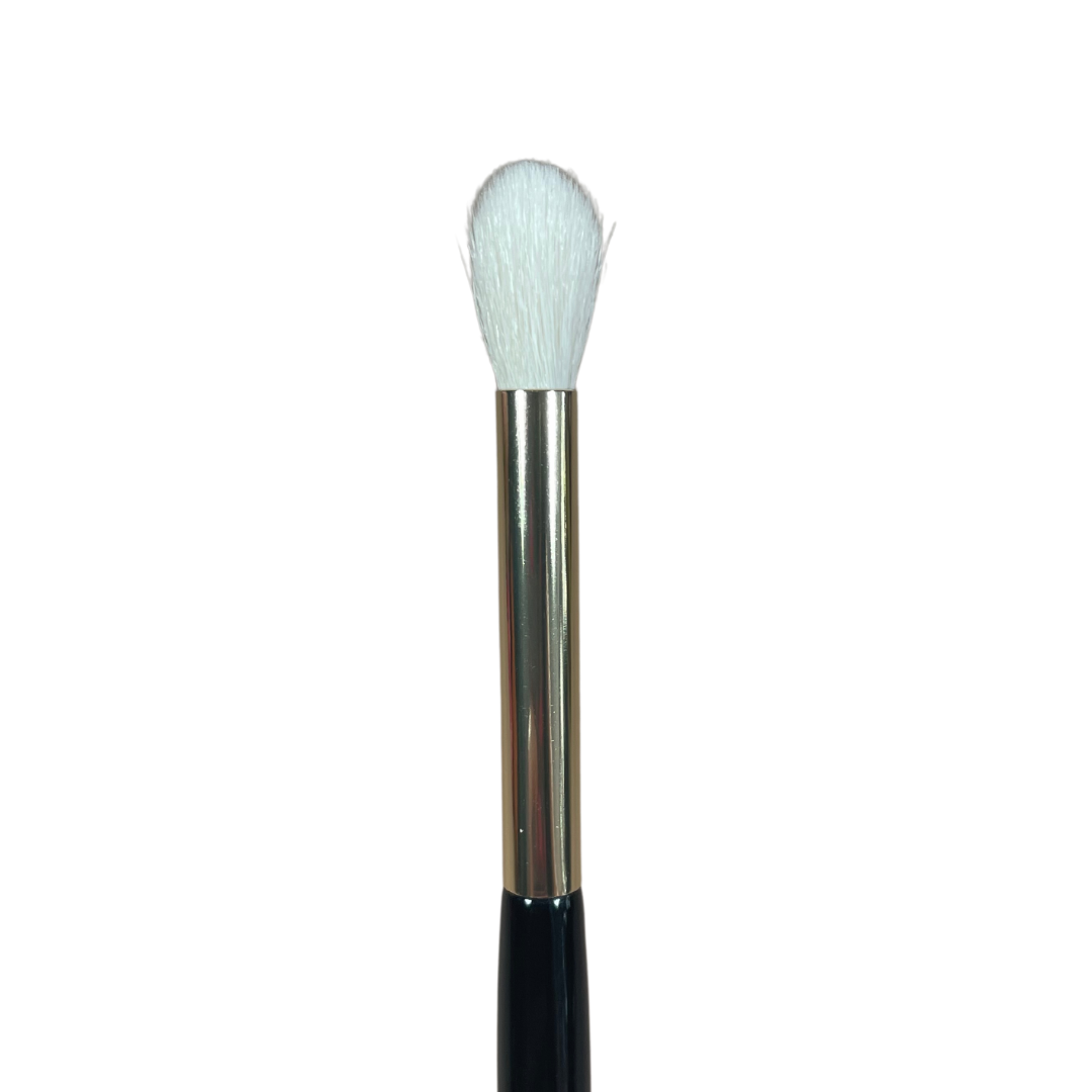 MC10 - Transition Blending Brush