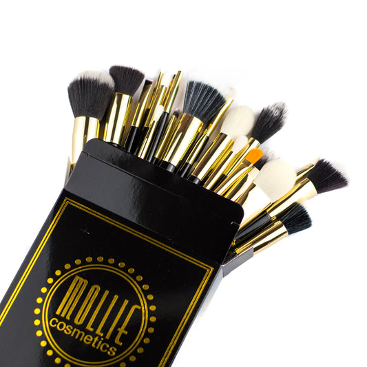 25 Piece Brush Set (Full Collection)