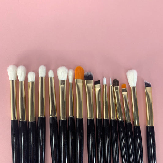Eye Brush Set - 16 Brushes